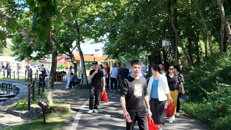 恒星传导2025金秋旅行 恒星传导2025金秋旅行